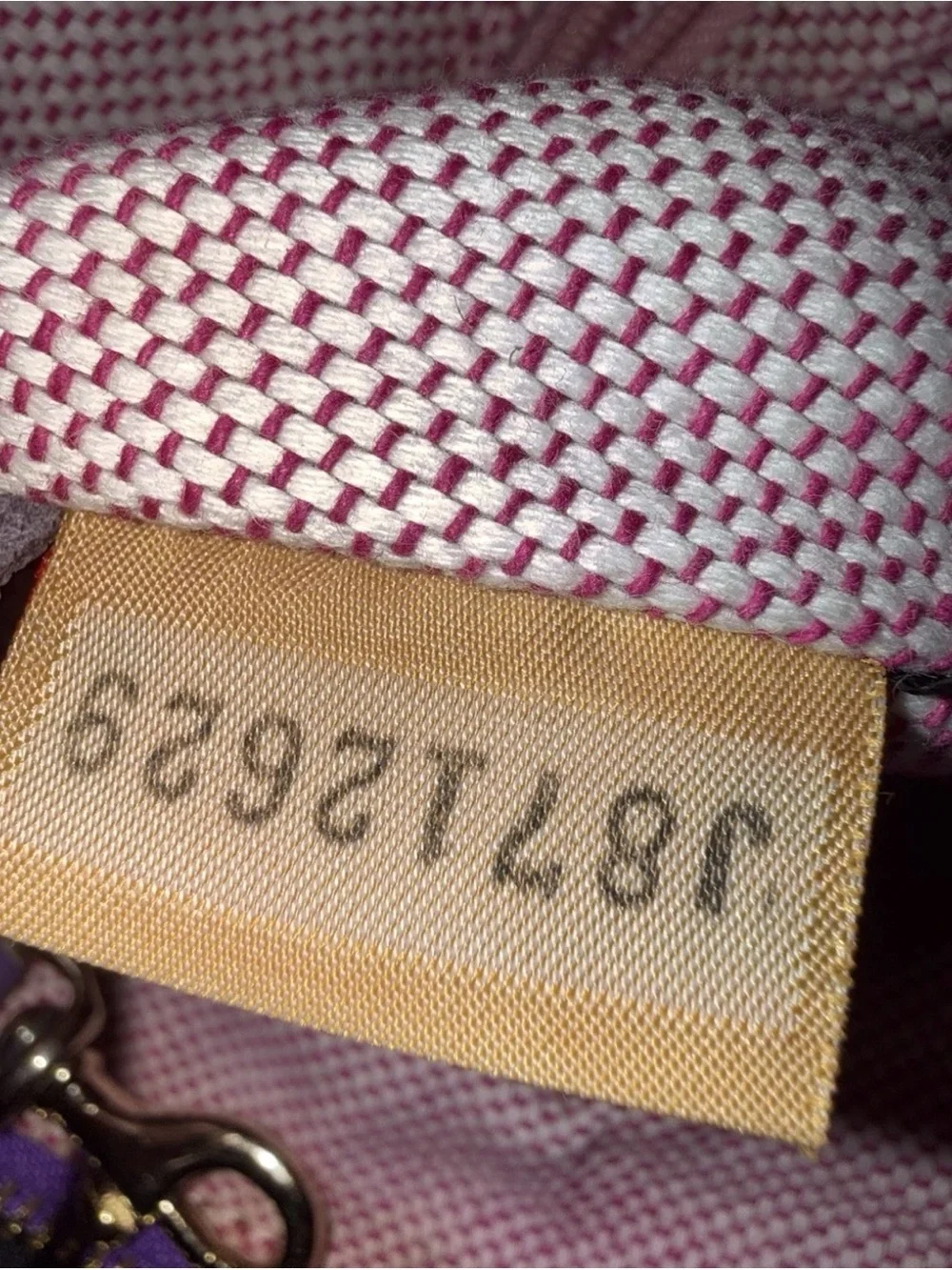 Dooney & Bourke Luna Purple Expandable Hobo Bag